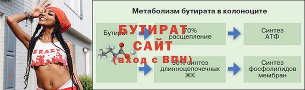 гашик Богданович